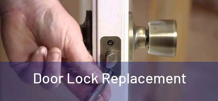  Door Lock Replacement 